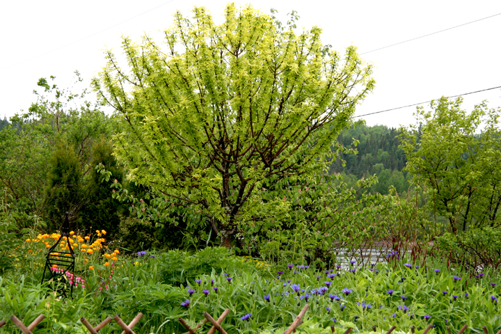 Juin2013-06190218_zps51d0e8a8.jpg