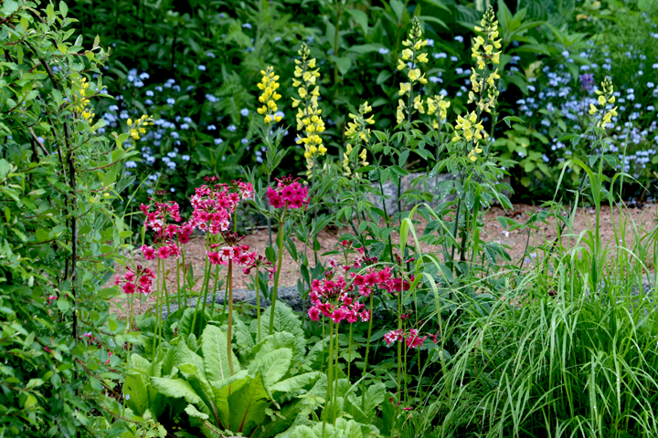 Juin2013-06190239_zpsa00bf46b.jpg
