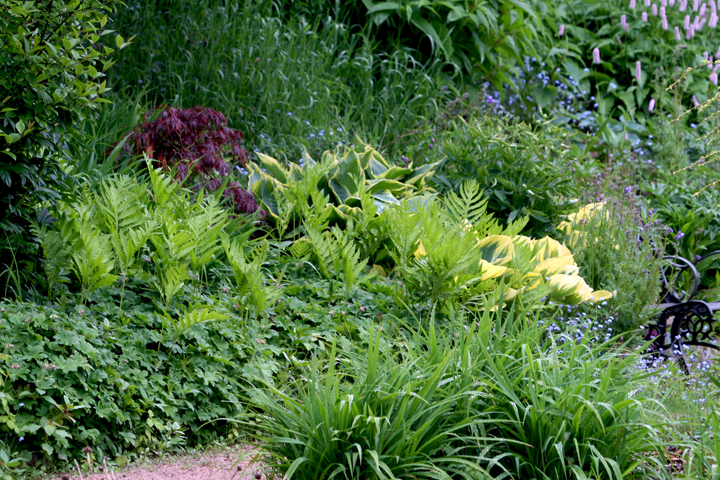 Juin2013-06190240_zpsa40dd888.jpg