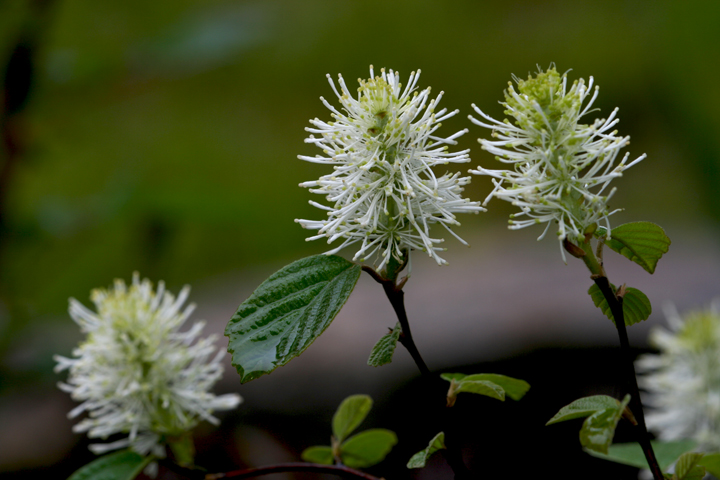 Juin2013-06190253_zps47d8d299.jpg