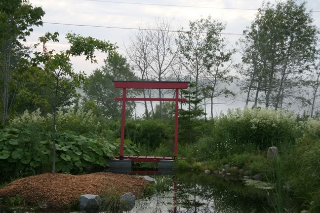 Juin22700-2010019.jpg