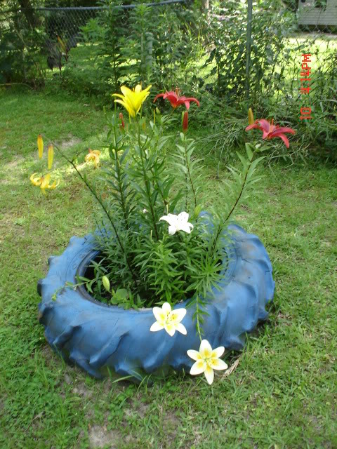 June102007tractortirelillybed.jpg