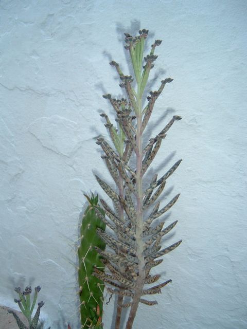 junio%202004%20para%20identificar.jpg