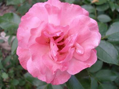 juny_010_Small_.jpg