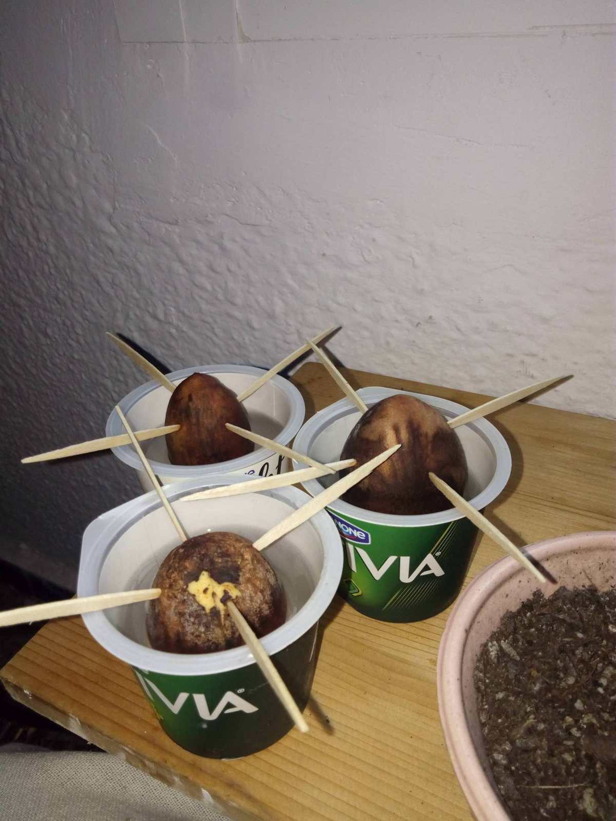 JyteOLh.jpg