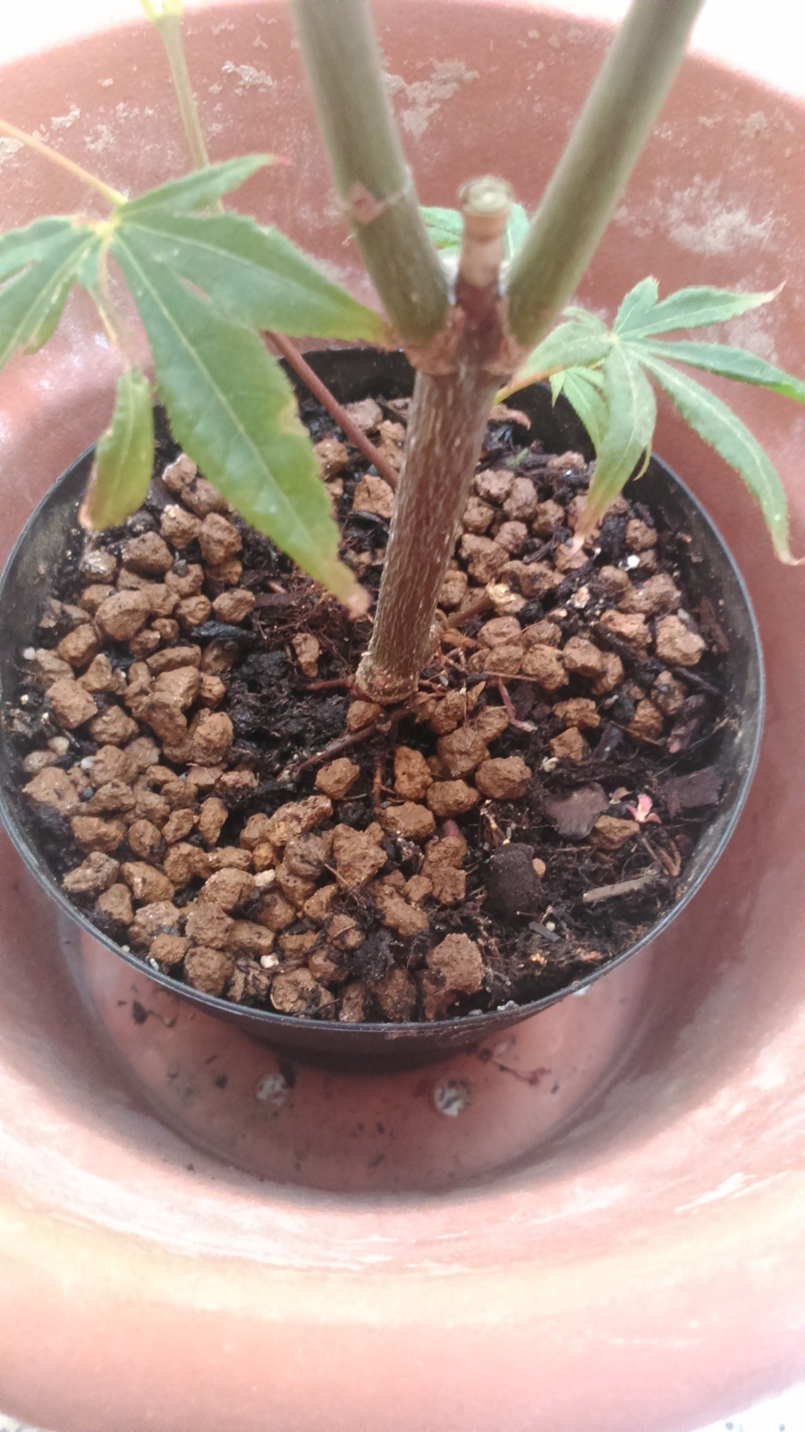 k3n9rt.jpg