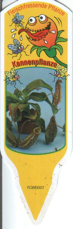 kannenfplant.jpg