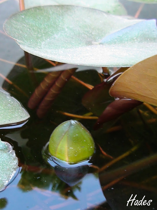 kAxEcj-4hhd1hPL9H-HMuWF5tM5KkMJ65TY8d6IOg89a=w544-h725-no.jpg