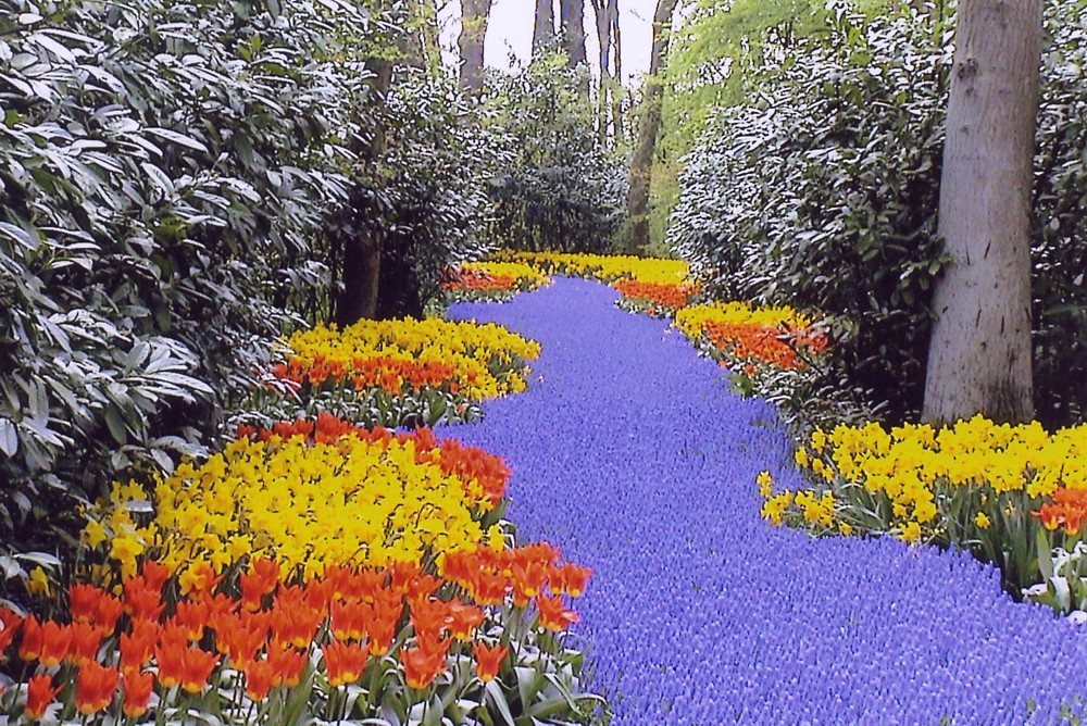 keukenhof-01.jpg