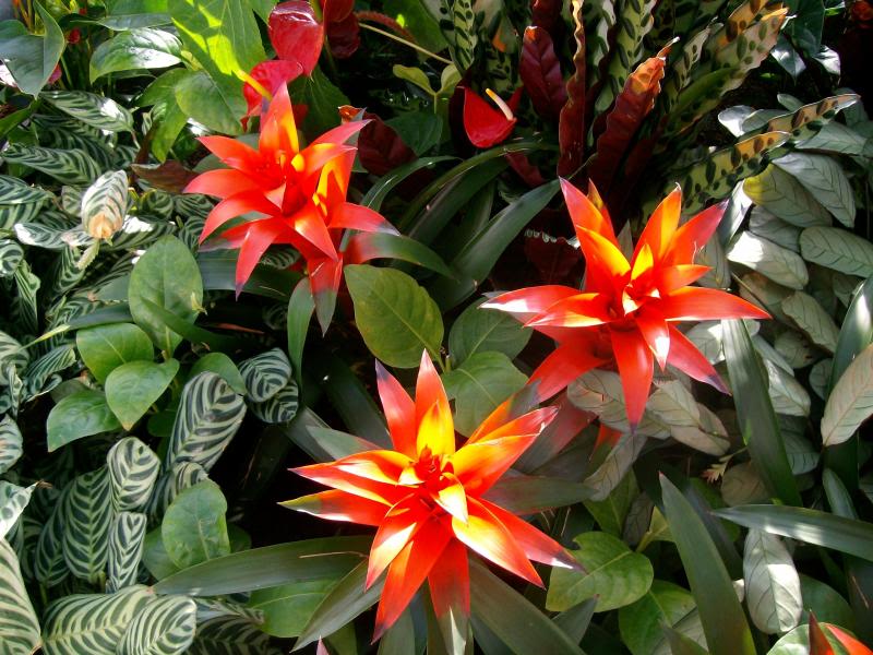 KewGardens2.jpg