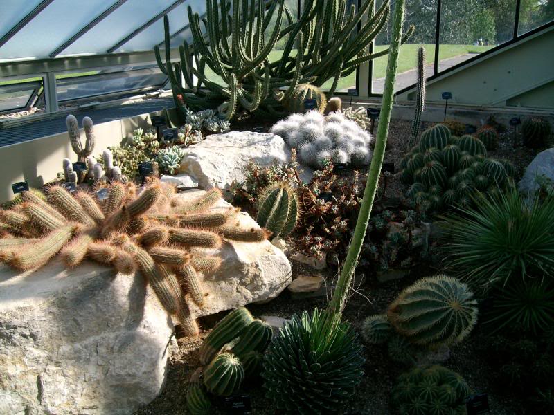 KewGardens3.jpg