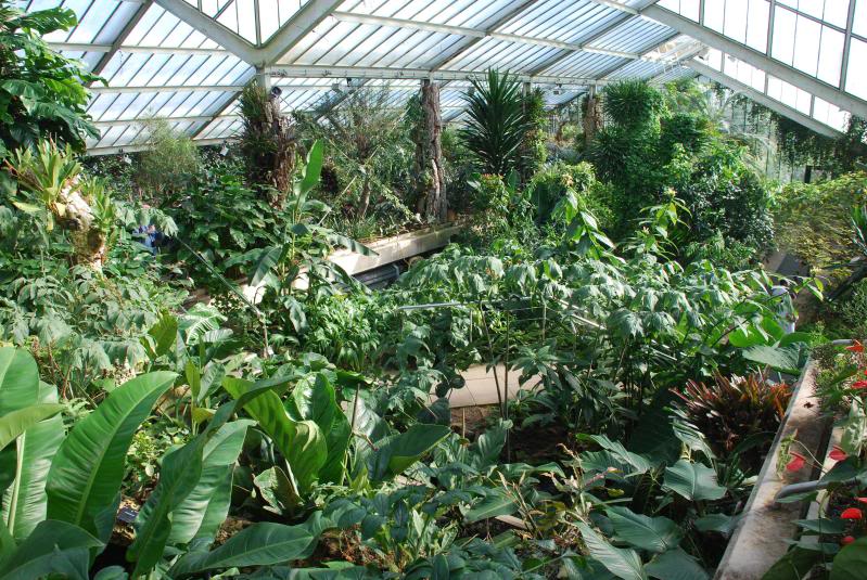 KewGardens4.jpg