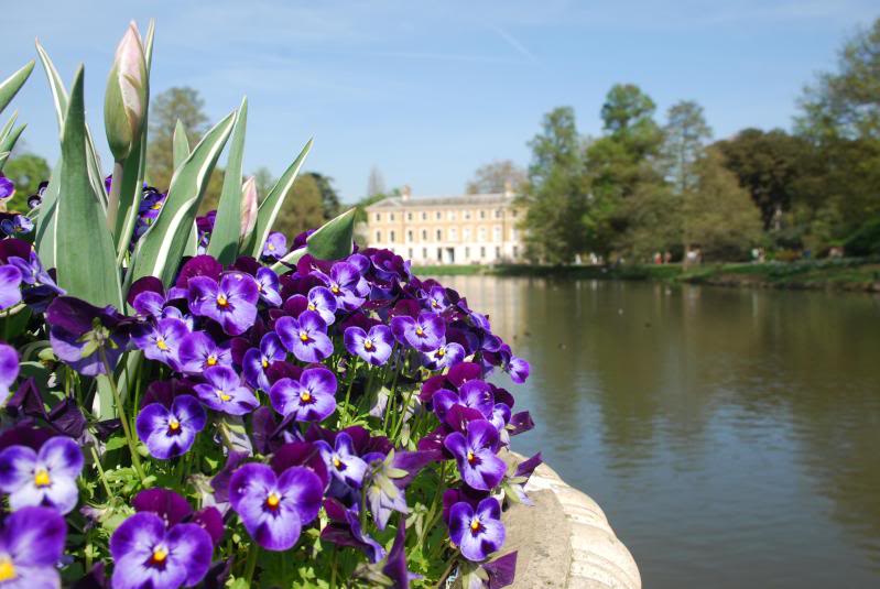 KewGardens9.jpg