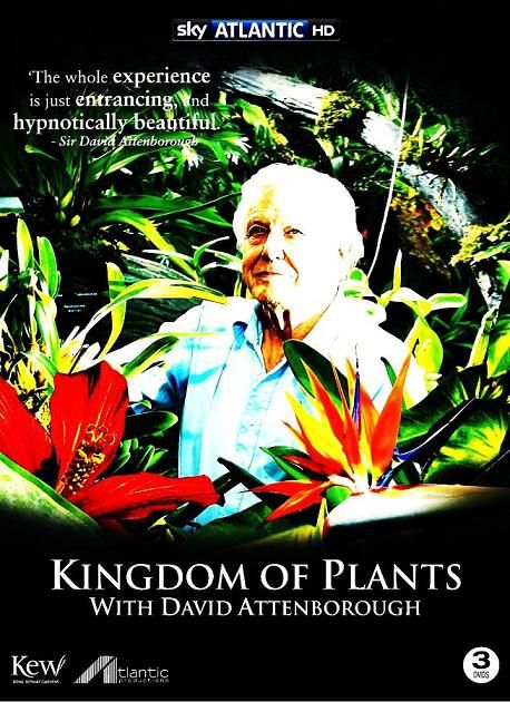 Kingdom-of-Plants-Cover.jpg
