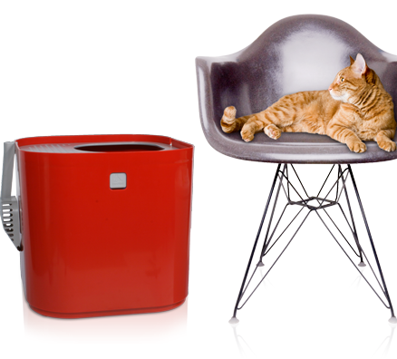 kittylitter.jpg