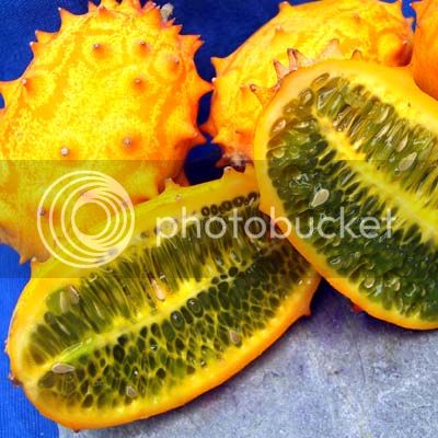 KiwanoHornedMelon2_zps053cf9e0.jpg