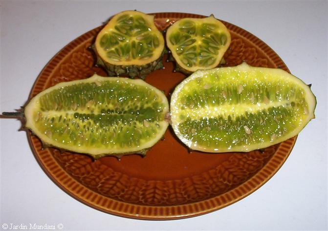 kiwanos.jpg