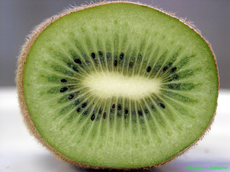 Kiwi%20fruit.jpg