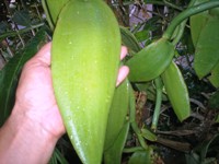 klz1179624159g.jpg