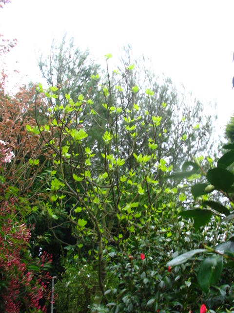 klz1206491313c.jpg