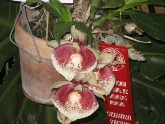 klz1212201164b.JPG