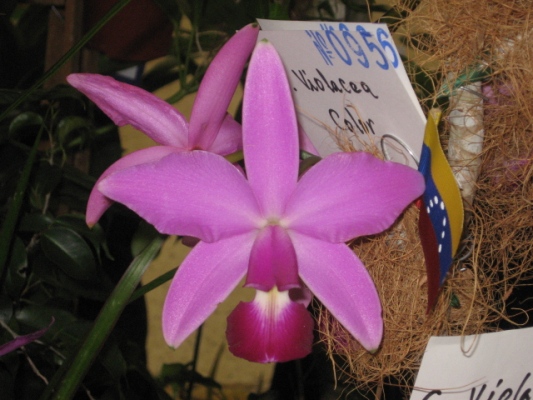 klz1212205965s.JPG
