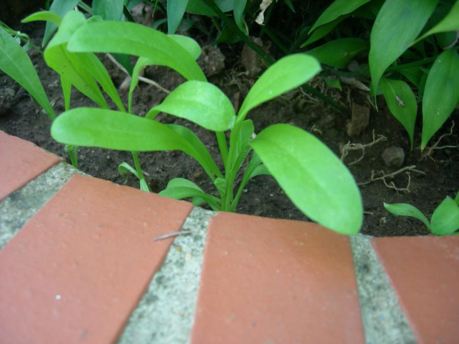 klz1212226769s.JPG