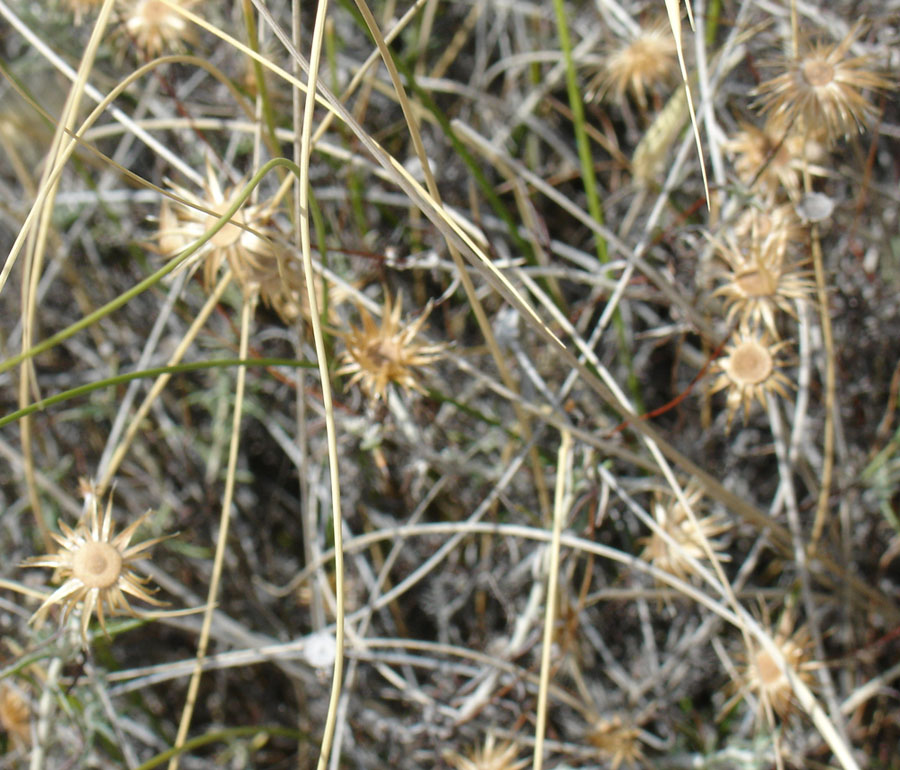 klz1212511428f.JPG