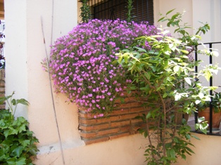 klz1212532665l.jpg