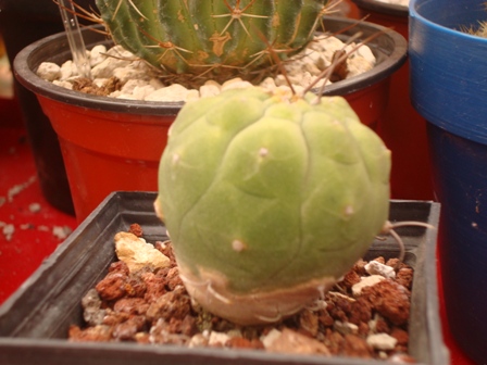klz1212605299u.jpg