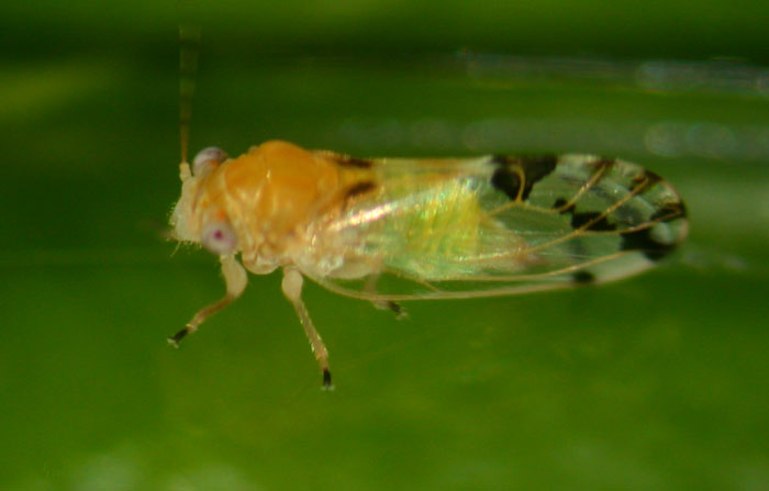 klz1212653737g.jpg