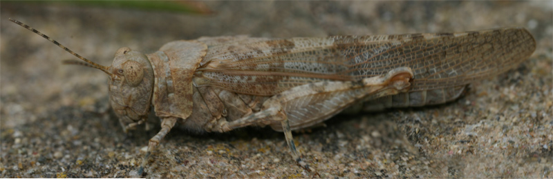 klz1212698517i.jpg