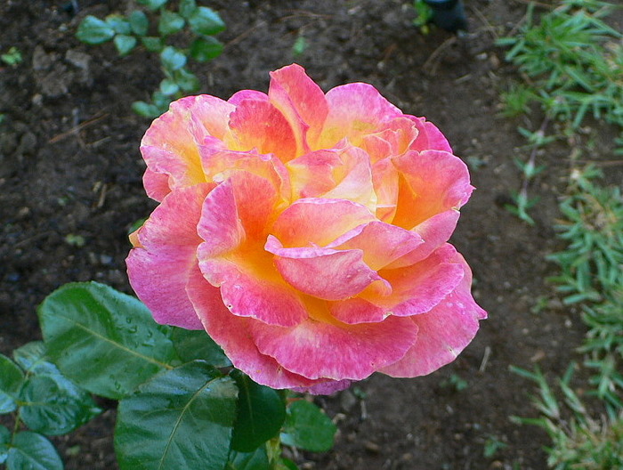 klz1219874578l.JPG