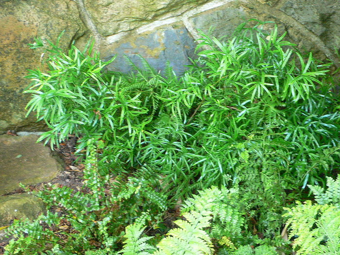 klz1220203029m.JPG