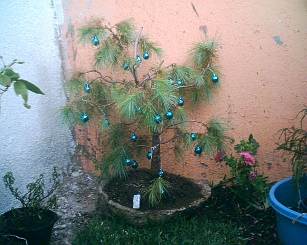 klz1228404402f.jpg