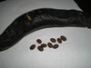 klz1234310675c.JPG
