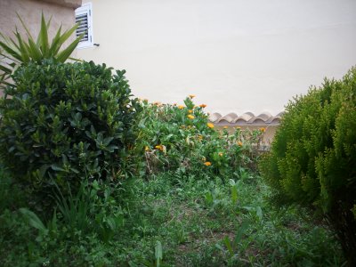 klz1236175776r.JPG