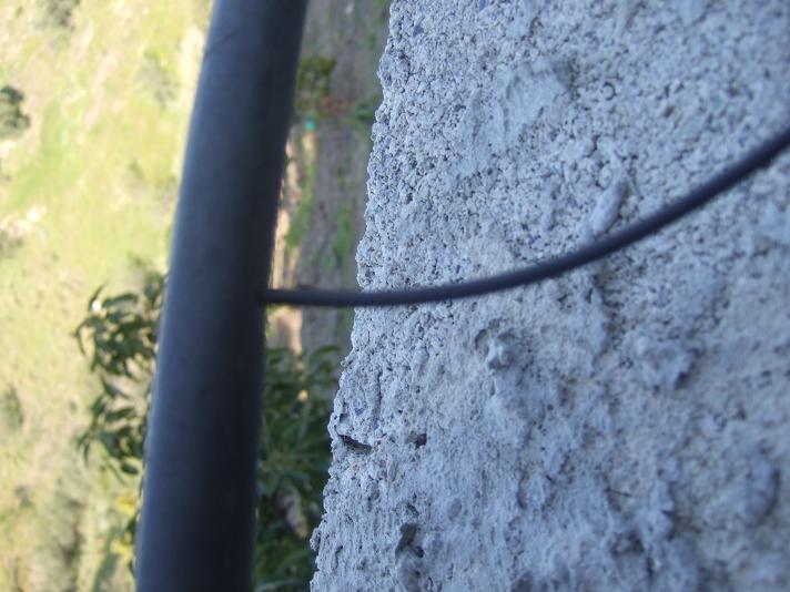klz1237870663v.jpg