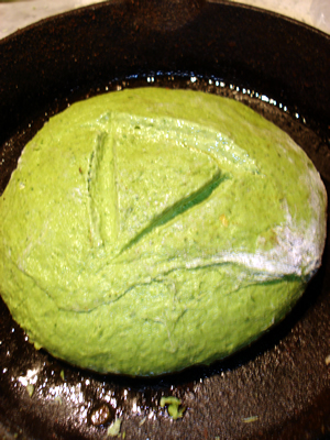 klz1241661099g.jpg