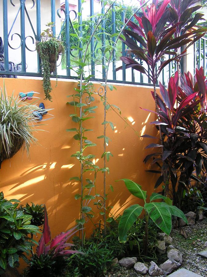 klz1249931816e.JPG