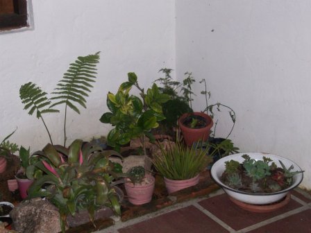 klz1251718303n.jpg