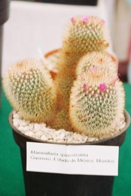 klz1258024983j.JPG