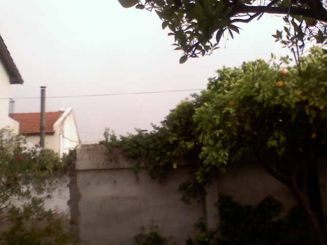 klz1258440445n.jpg