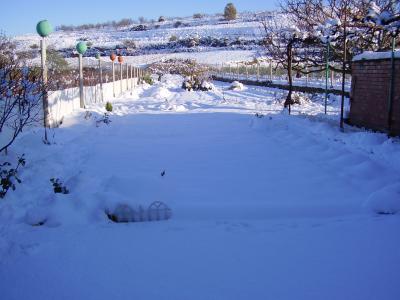 klz1261267831t.JPG