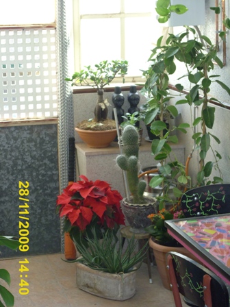 klz1264288677i.JPG
