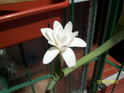 klz1264458917z.jpg