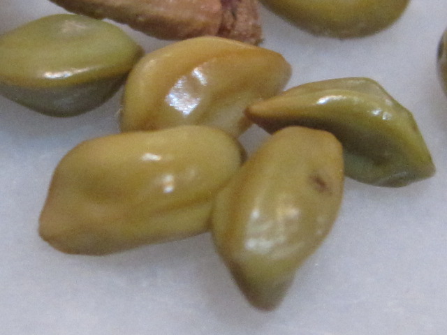klz1274346754e.jpg