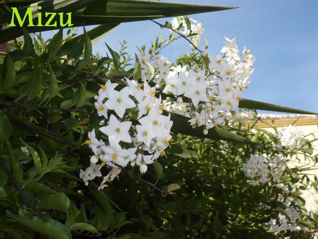 klz1275446182c.JPG