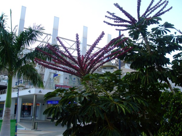 klz1279774721w.JPG