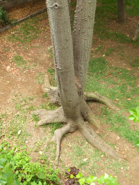 klz1280206389a.JPG